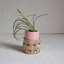 Cargar imagen en el visor de la galería, Small Pink Ceramic Air Plant Pot with Air Plant
