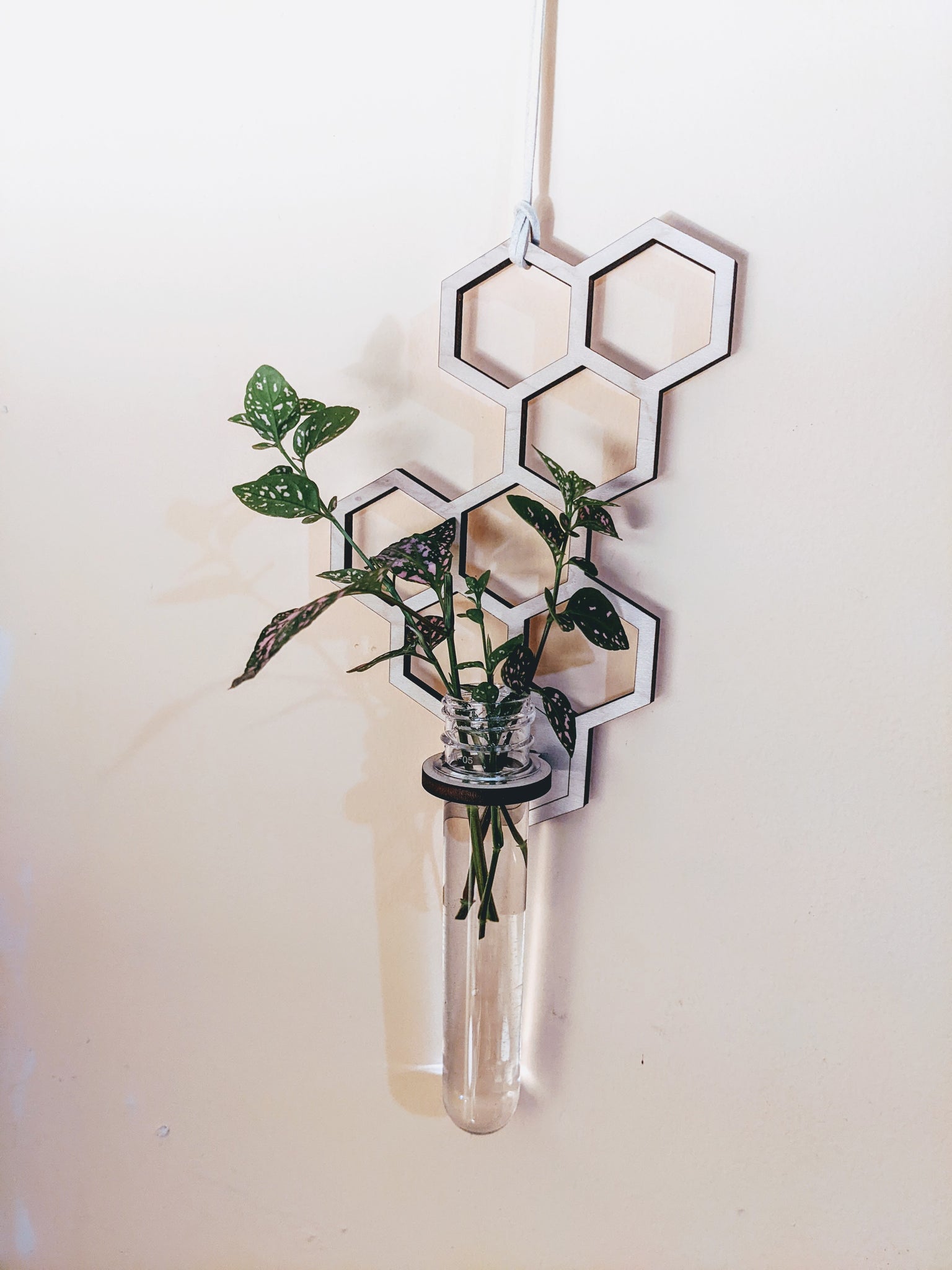 test tube hanging planter Hanging Propagation Station