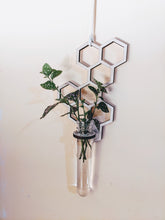 Load image into Gallery viewer, Hanging Propagation Station  - Honeycomb Pattern with Single Test Tube
