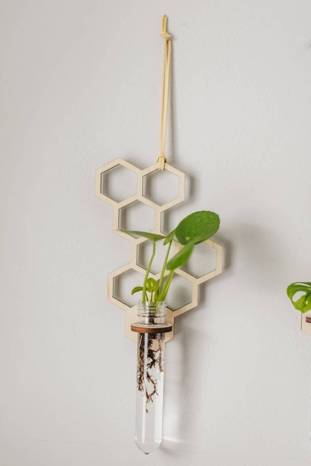 Hanging Propagation Station  - Honeycomb Pattern with Single Test Tube