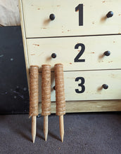 Cargar imagen en el visor de la galería, Stackable Coir Poles for Potted Plants
