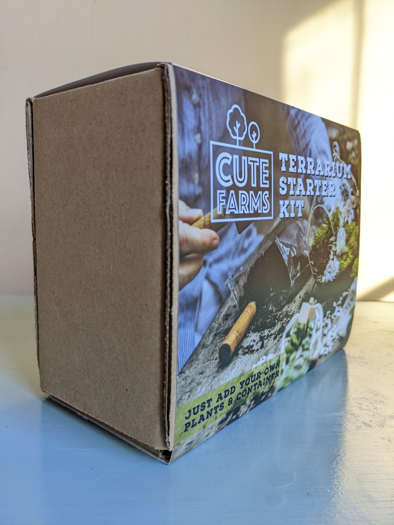  Cute Farms Terrarium Starter Kit