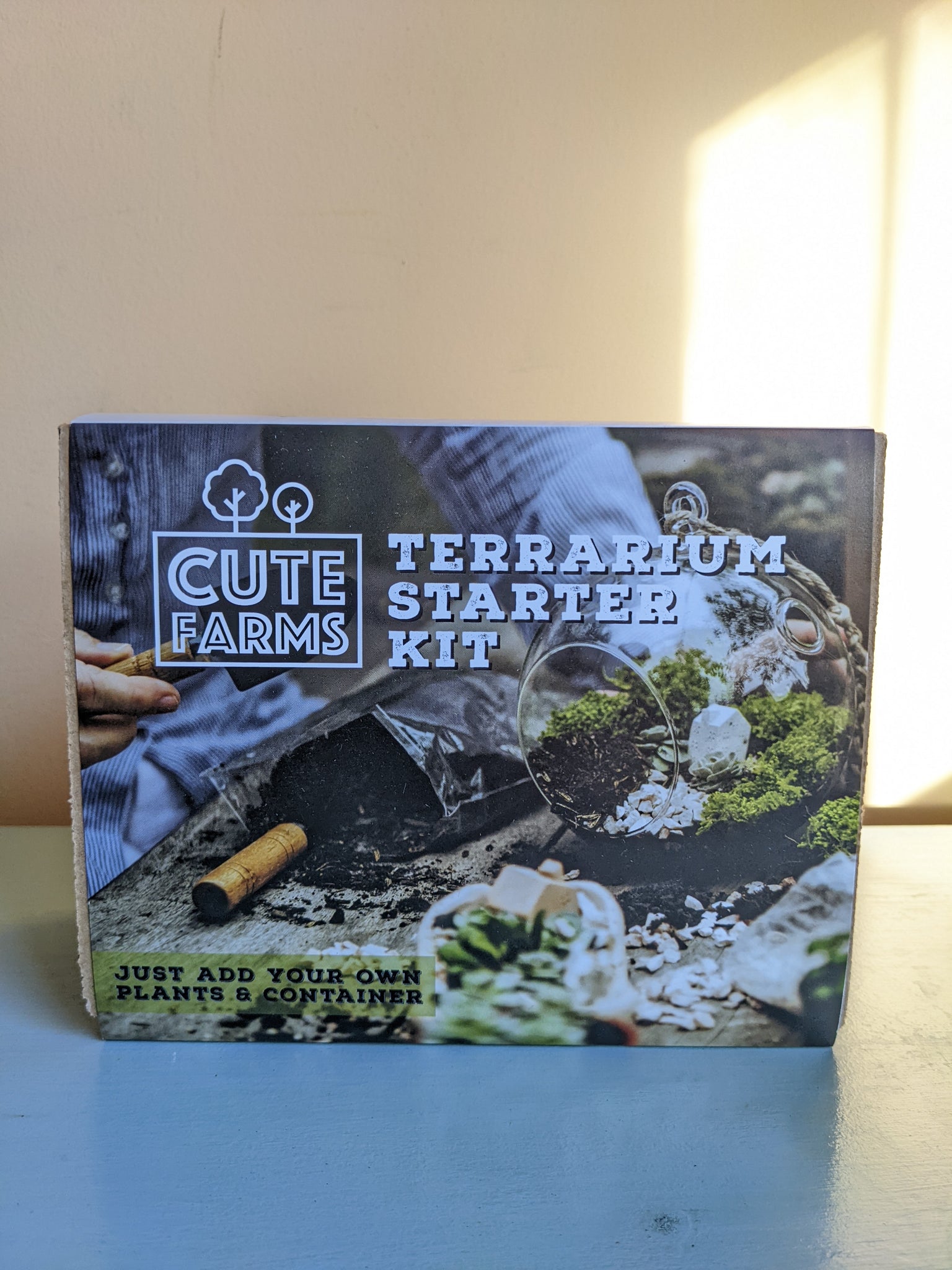plant terrarium starter kit Terrarium Starter Kit