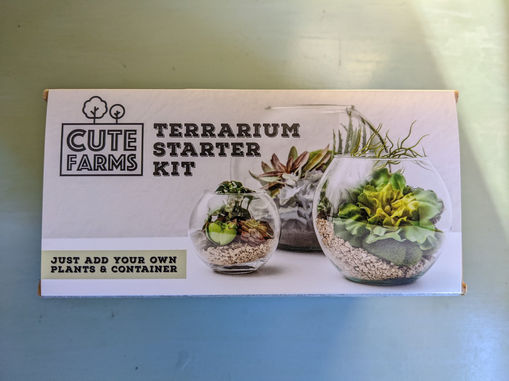 plant terrarium starter kit Terrarium Starter Kit