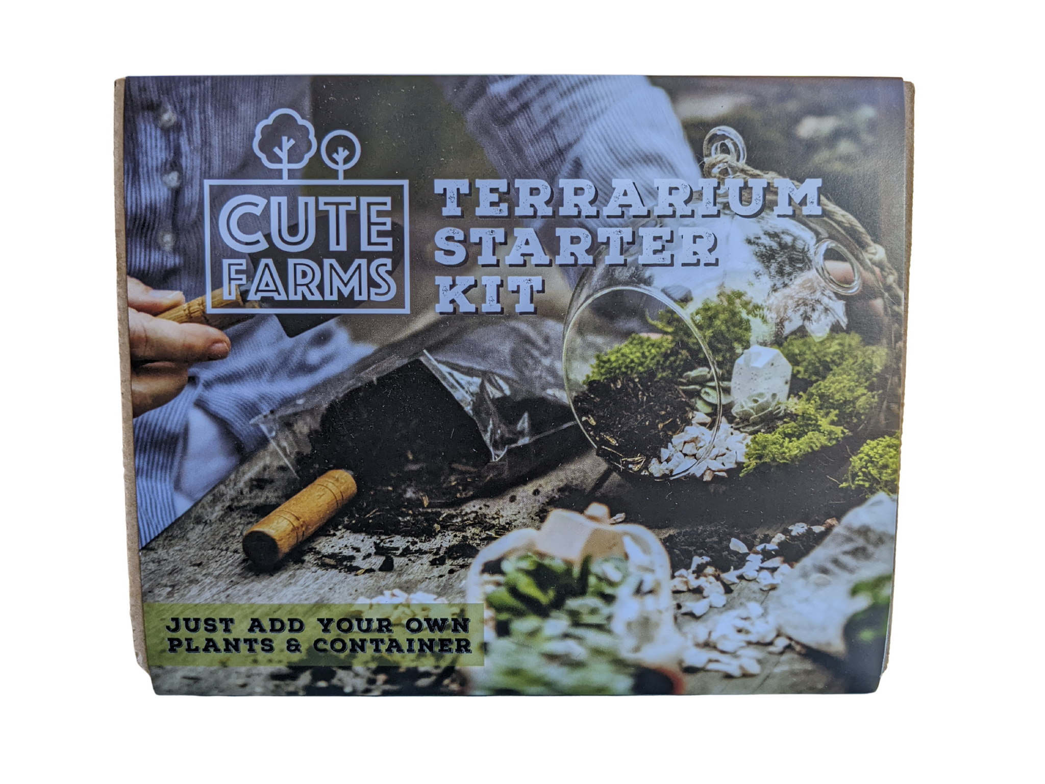 terrarium starter kit with plants Cute Farms Terrarium Starter Kit for Adults and Kids