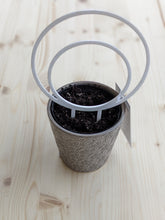Load image into Gallery viewer, Small, white, double hoop trellis, 5.5 inches outer circle diameter shown in 4 inch pot. 

