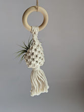 Cargar imagen en el visor de la galería, Macrame Air Plant Hanging Pod Display with Air Plant
