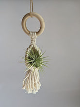 Cargar imagen en el visor de la galería, Macrame Air Plant Hanging Pod Display with Air Plant
