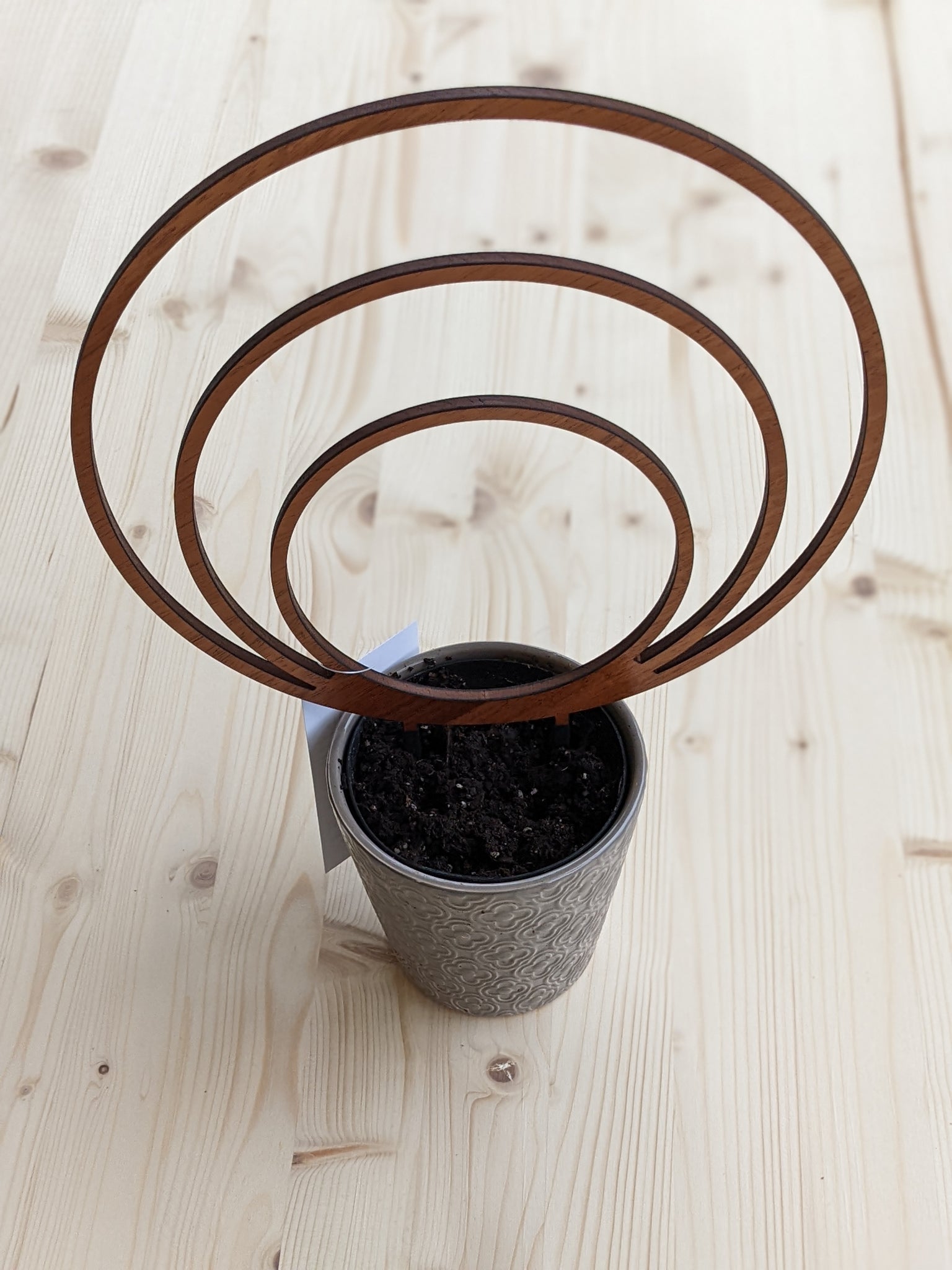 hoop trellis for potted plants Wooden Triple Hoop Trellis - Endless Loop